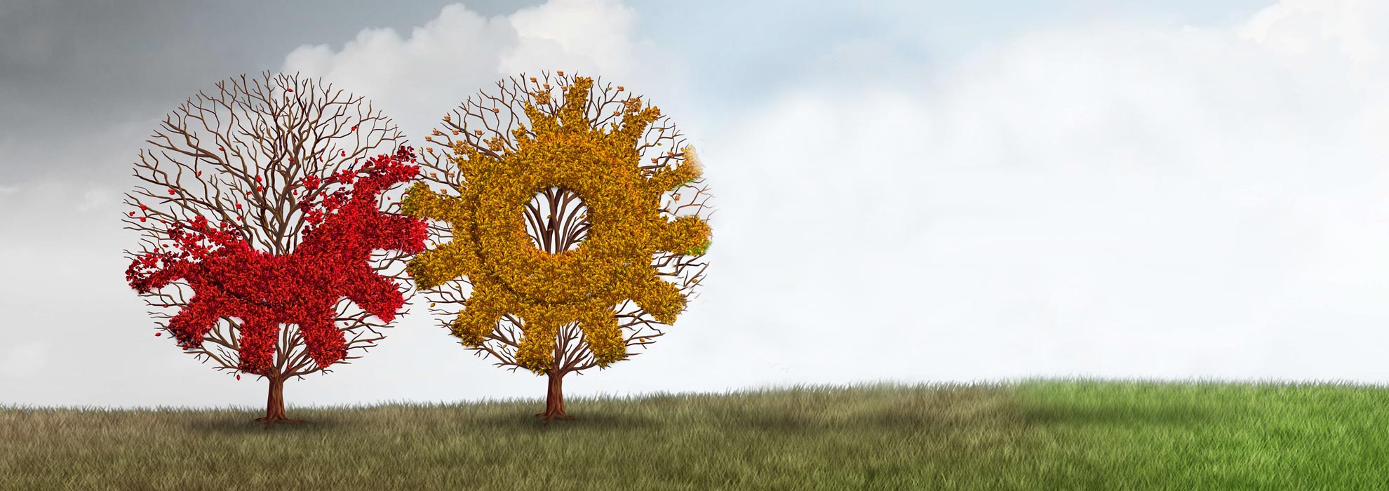 arbol-2-amarillo