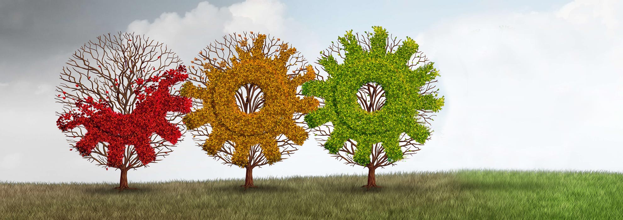 arbol-3-verde