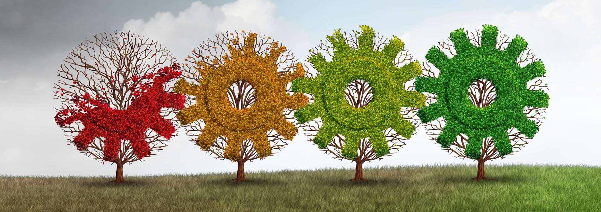 arbol-4-fresco