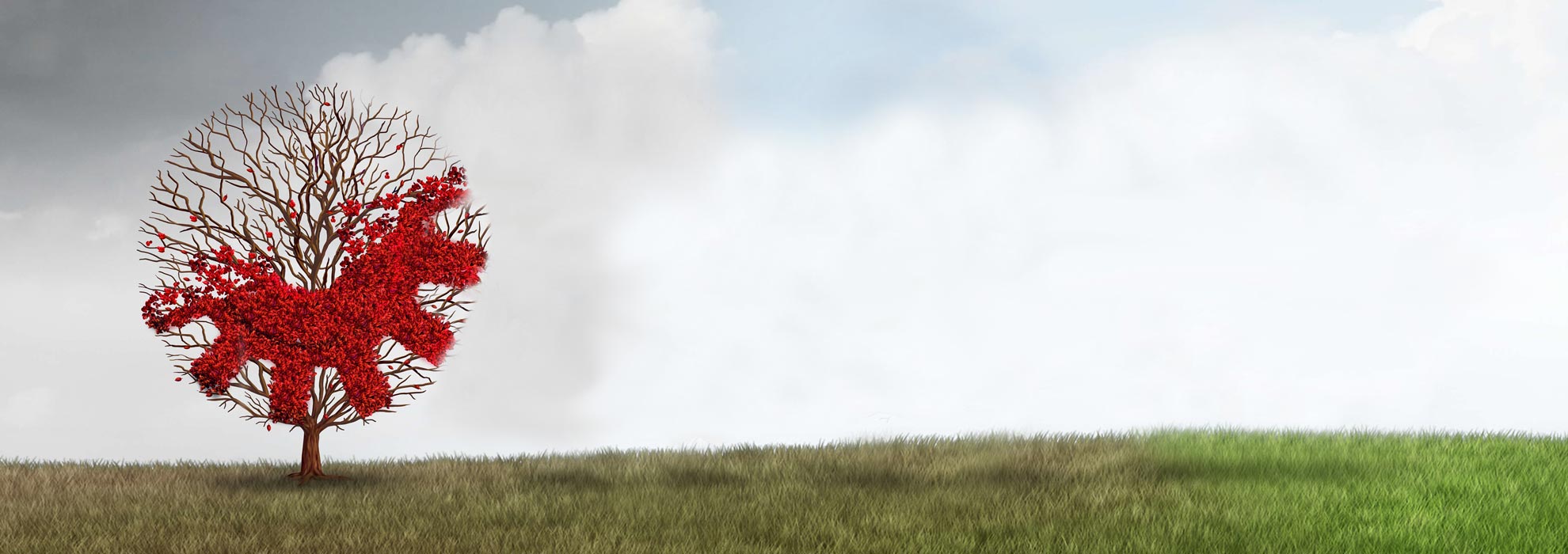 baner-arbol-1